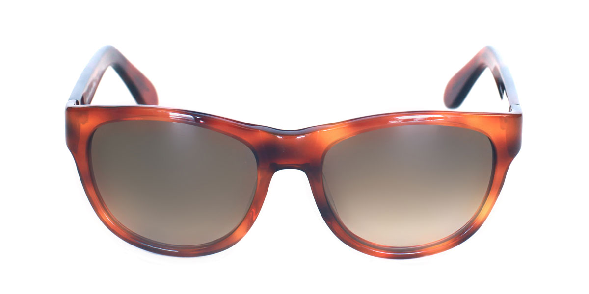 A pair of sunglasses is shown with the lens closed.