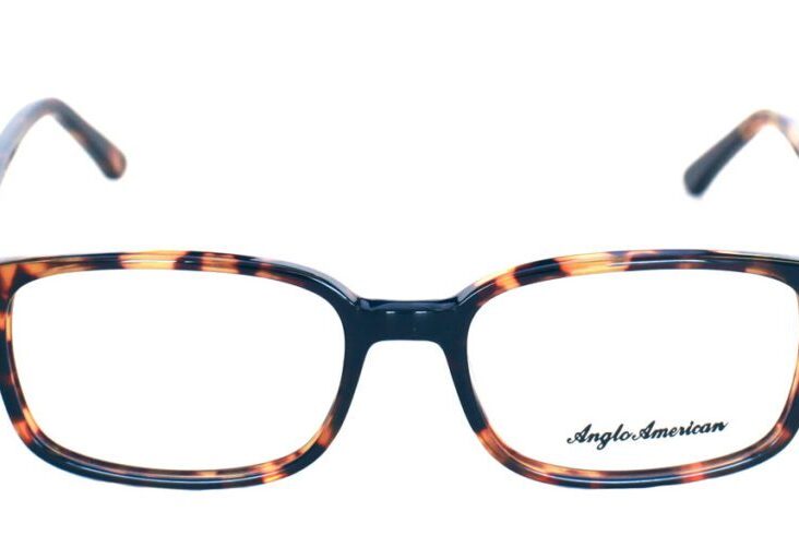 A pair of glasses is shown with the same frame.